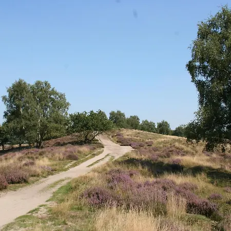 With Dishwasher, Near The Maasduinen * Belfeld